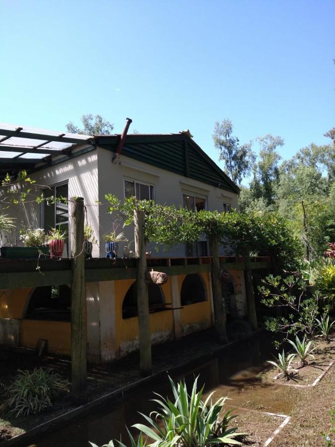 Cabanas Isla San Jose Tigre Phòng bức ảnh