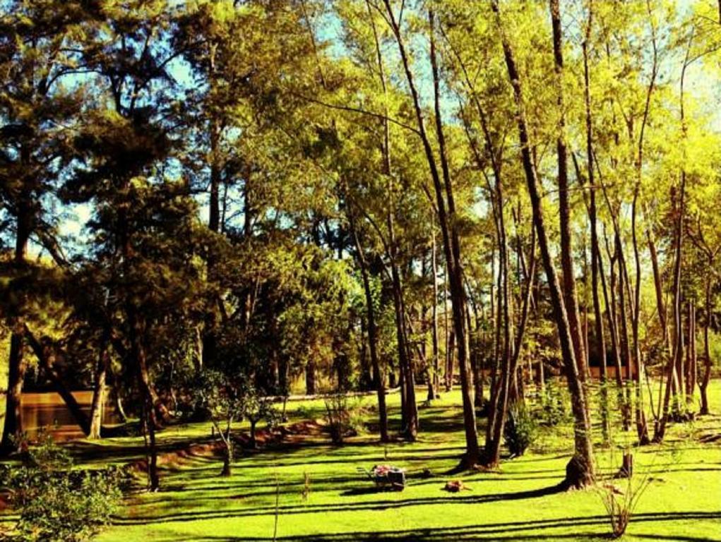 Cabanas Isla San Jose Tigre Phòng bức ảnh